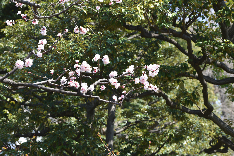 image0372