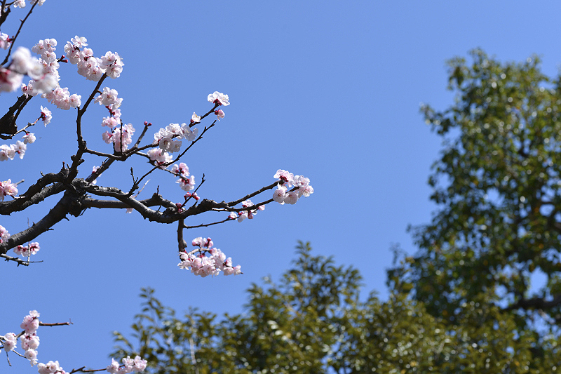 image0374