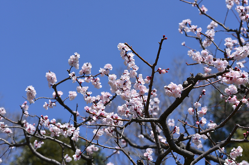 image0375