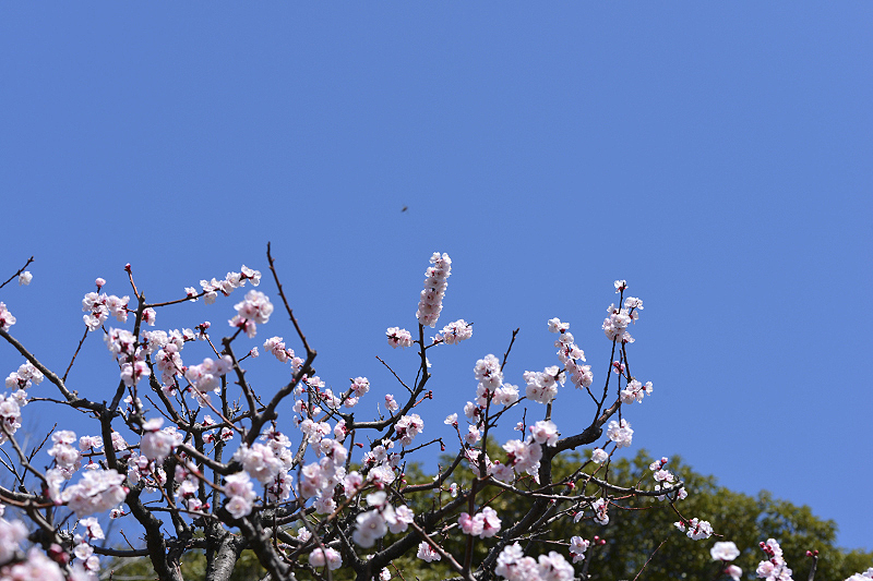 image0376