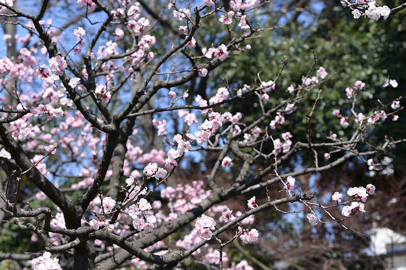 image0378