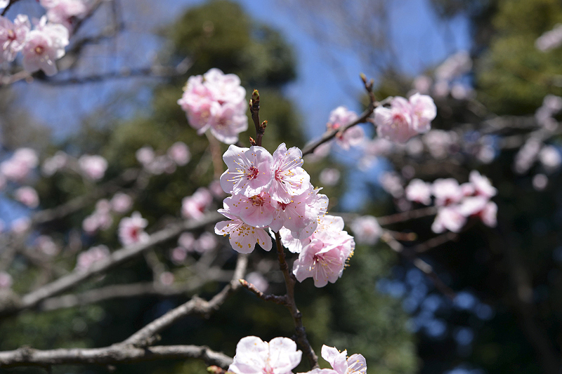 image0379