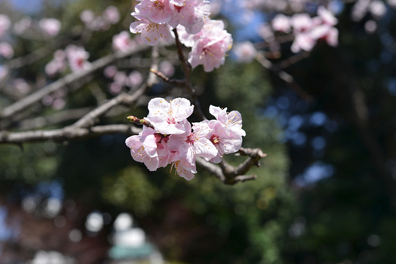 image0380