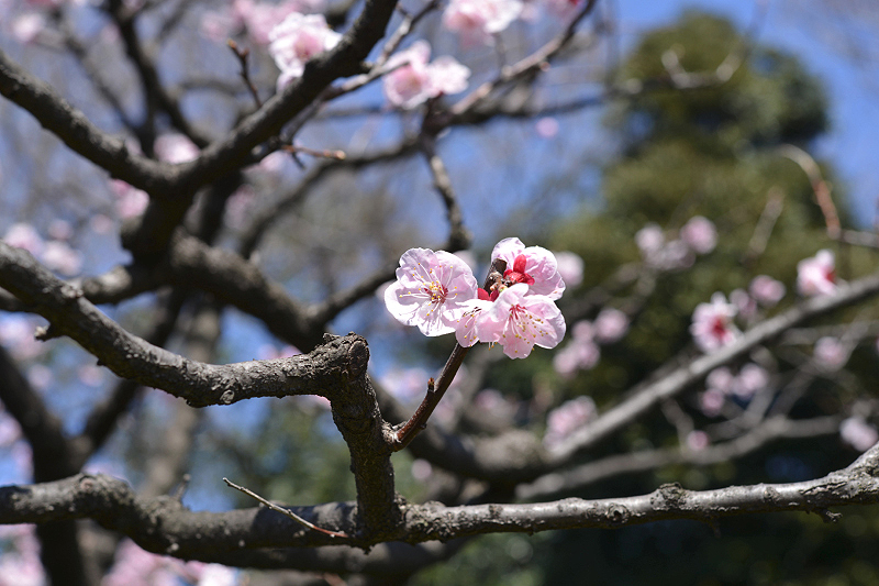 image0383