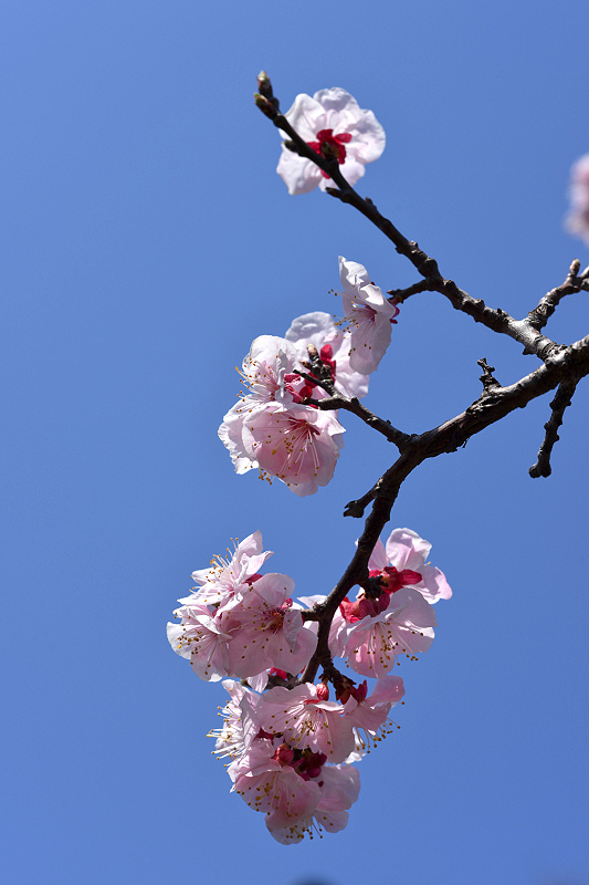 image0387