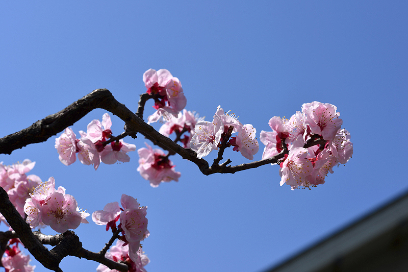image0395