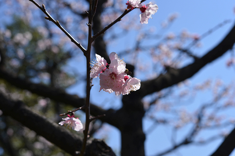 image0401