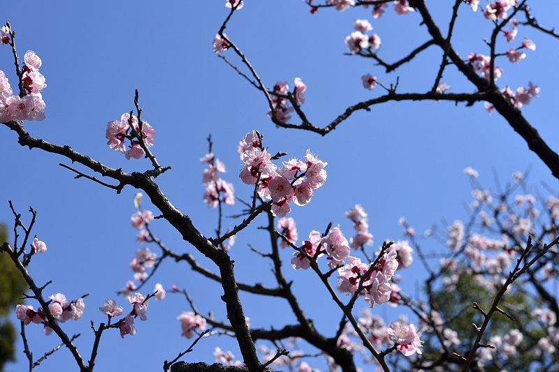 image0402