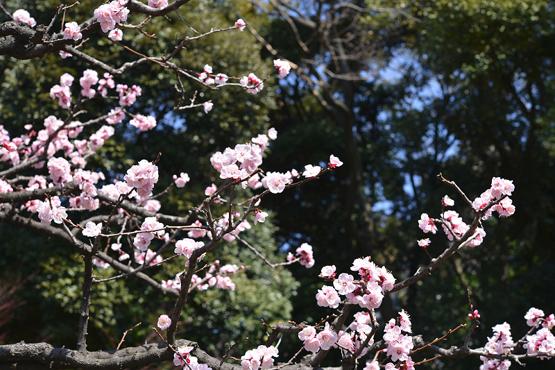 image0404