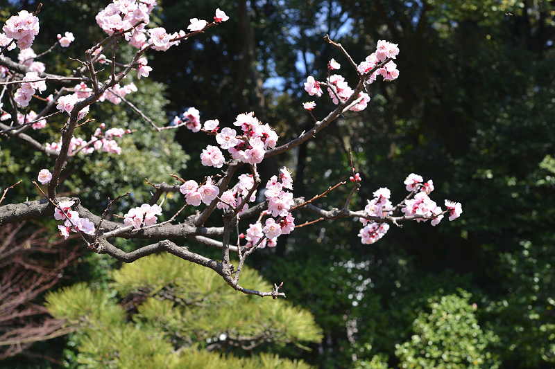 image0405