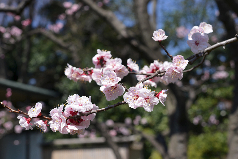 image0406