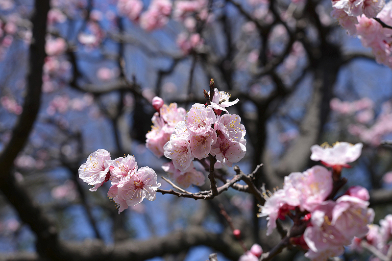 image0407