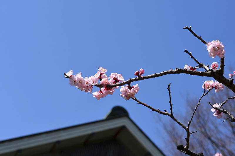image0409