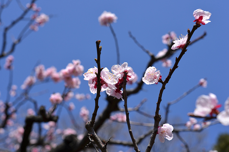 image0411