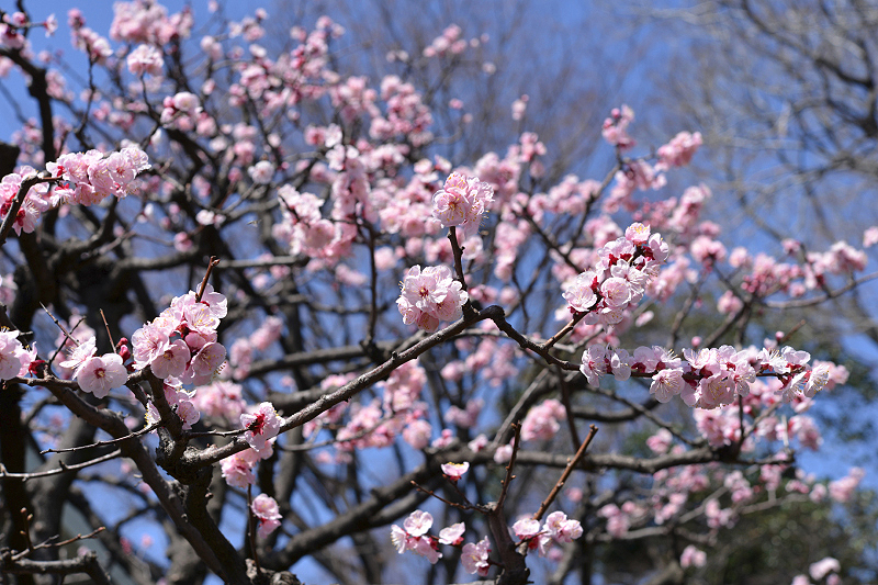 image0412