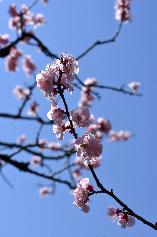 image0413