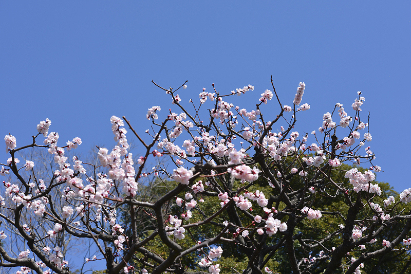 image0416