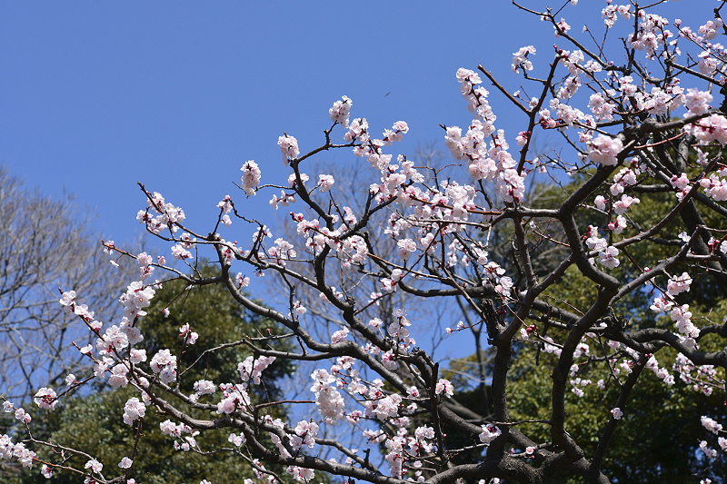 image0417