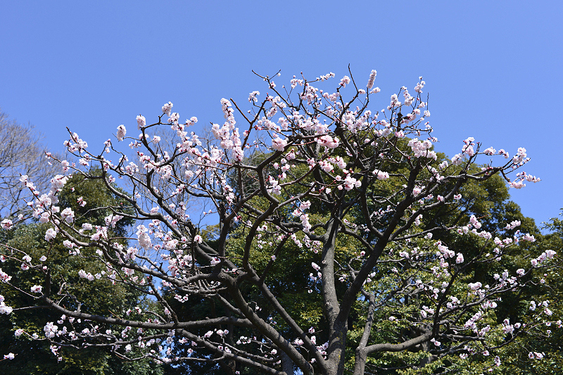 image0419