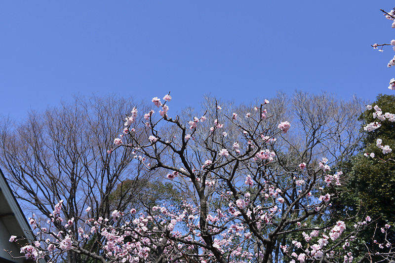 image0422