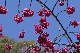 image0226