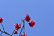 image0227