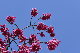 image0228