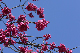 image0229