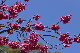 image0230