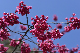 image0231