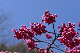 image0232