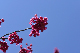 image0233