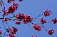 image0235