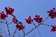 image0237