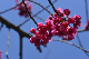 image0239
