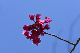 image0240