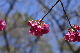 image0243