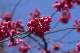 image0246