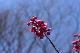image0248