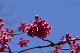 image0254