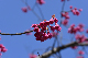 image0255