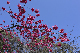 image0257