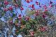 image0259