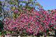 image0261