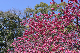 image0263