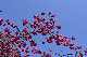 image0266