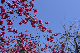 image0267