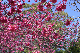 image0272