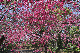 image0273