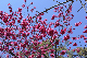 image0274
